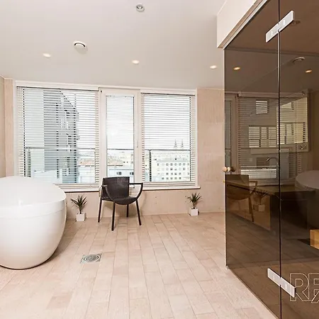 Spacious Penthouse